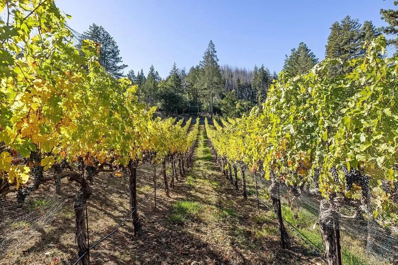 Segassia Vineyard - $5,999,999