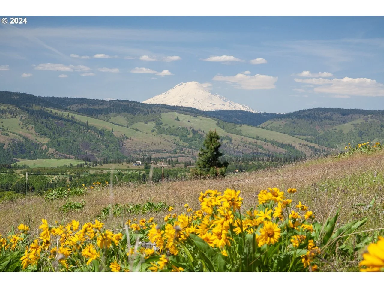 Over 10 Acres in Mosier, OR - $315,000