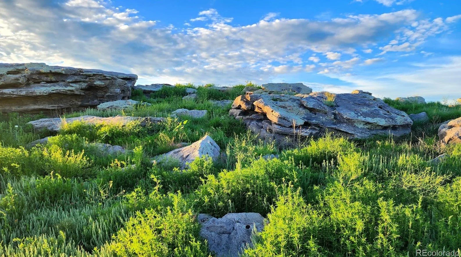 74 Acres in Akron, CO - $240,000