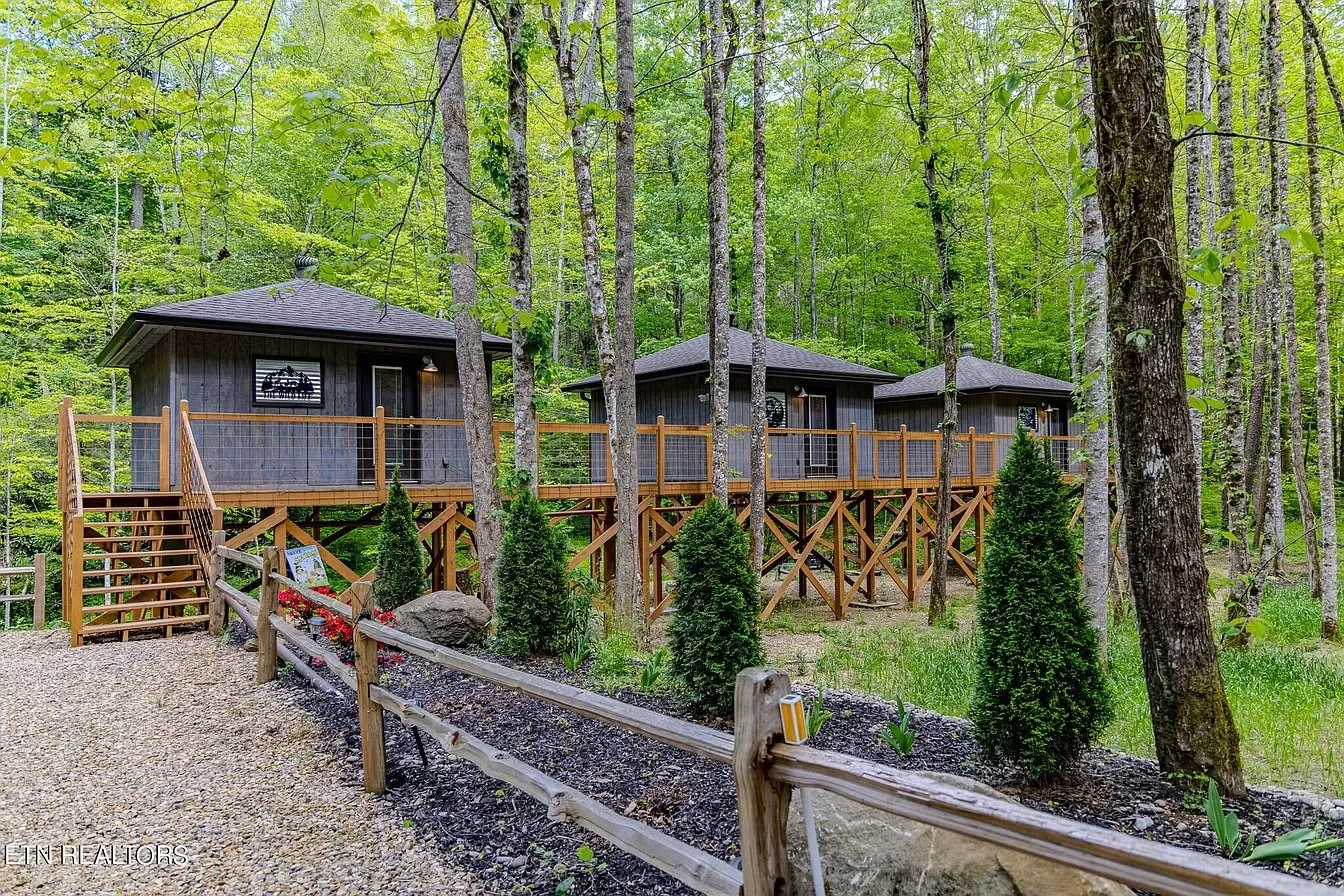 3 Treehouse Cabins in Cosby, TN - $519,000