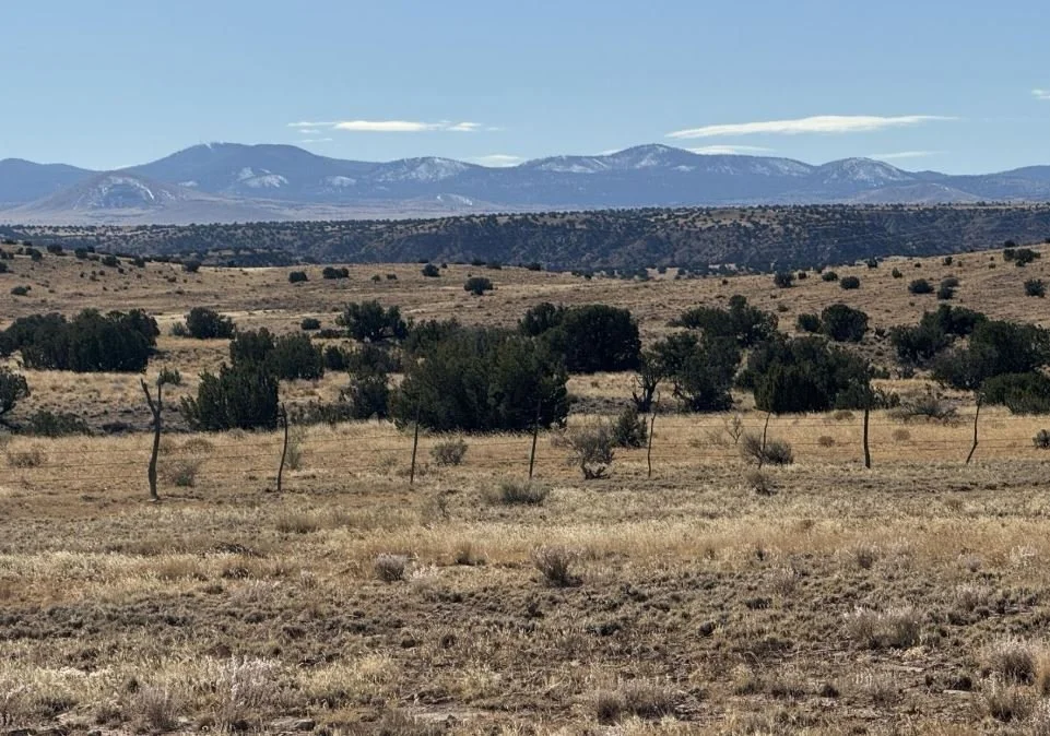 Over 37 Acres in Saint Johns, AZ - $48,000