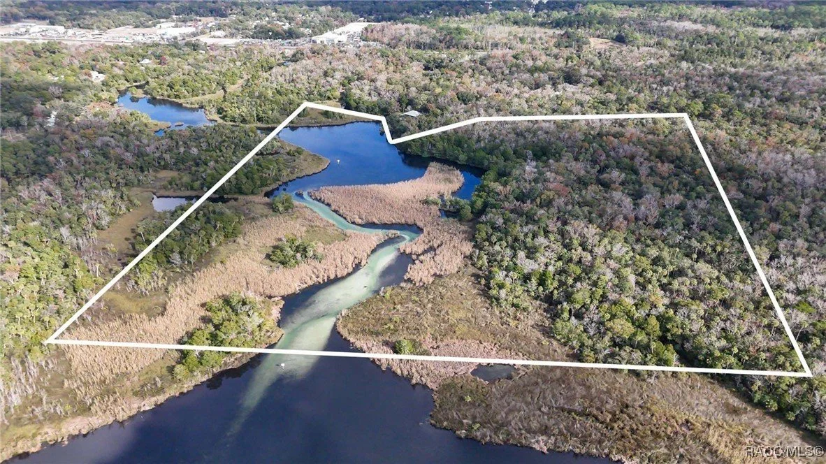 46 Acres in Homosassa, FL - $3Mil