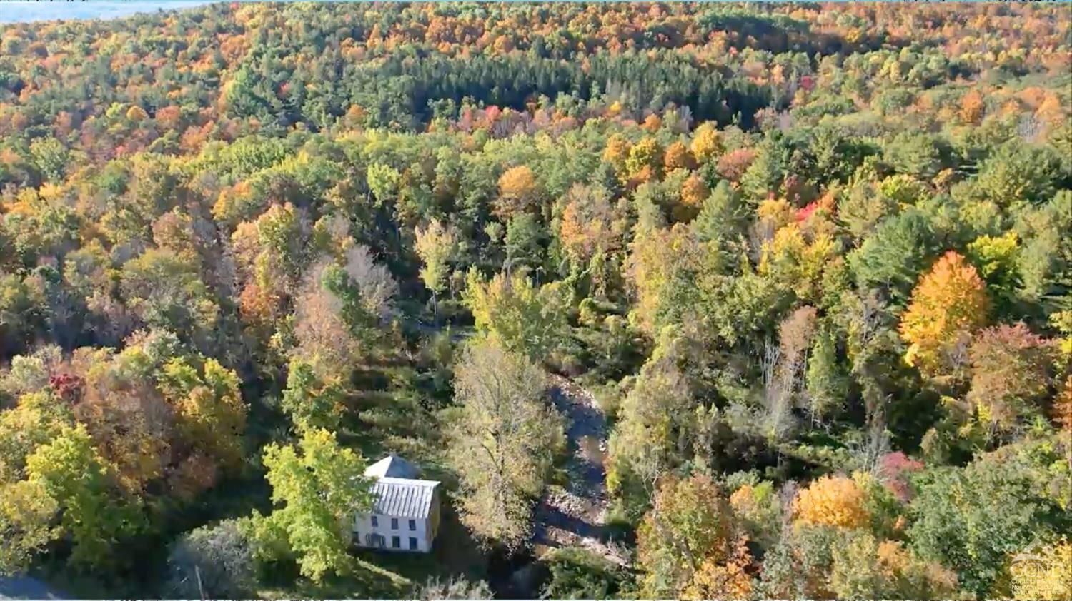 111 Acres ub Preston Hollow, NY - $299,000