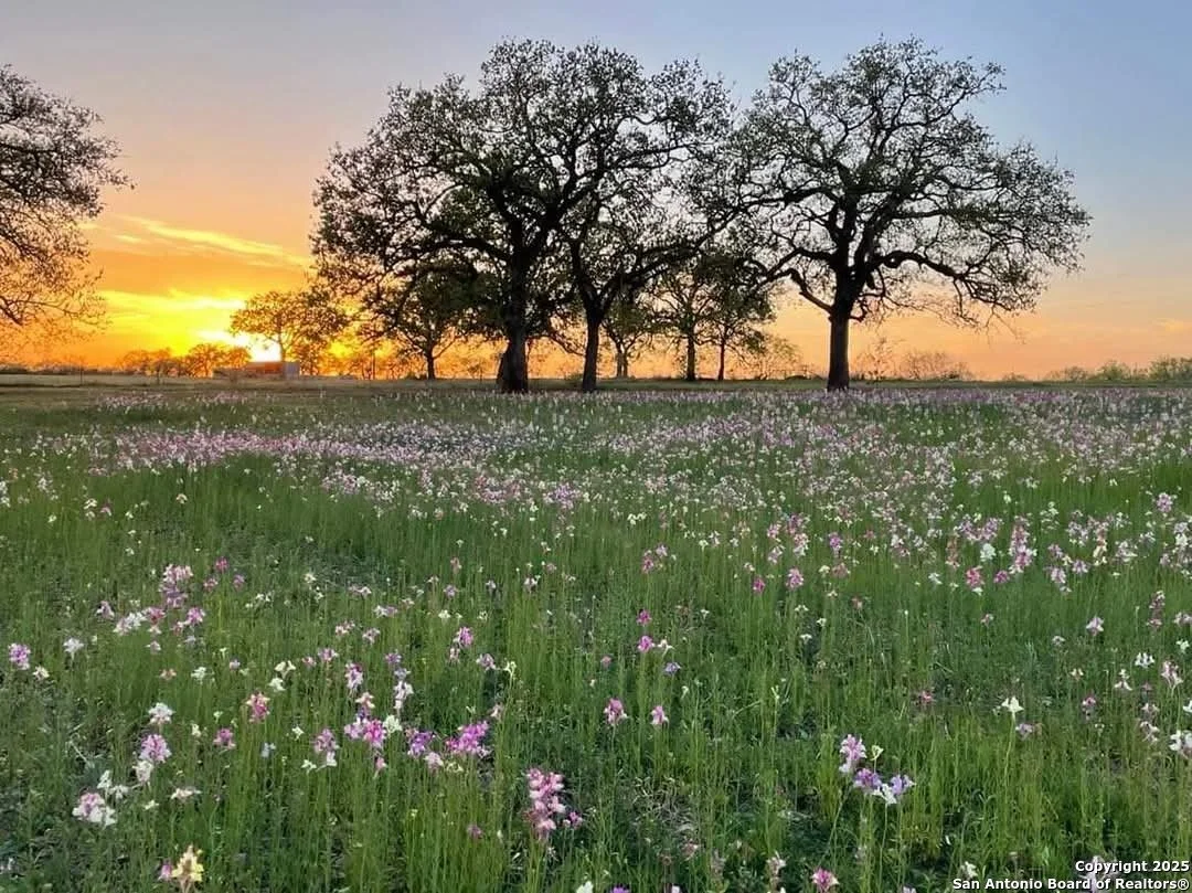 5 Acres in Seguin, TX - $369,000