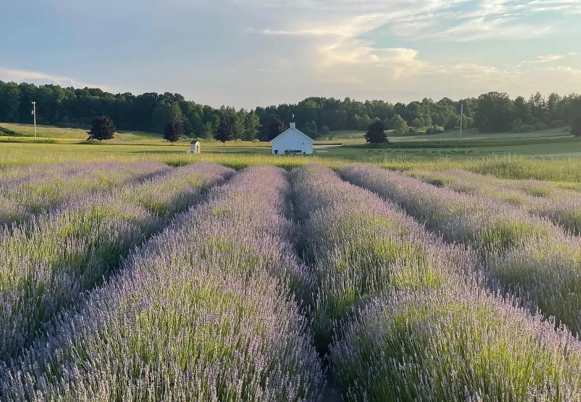 10 Acres in Traverse City, MI - $549,000