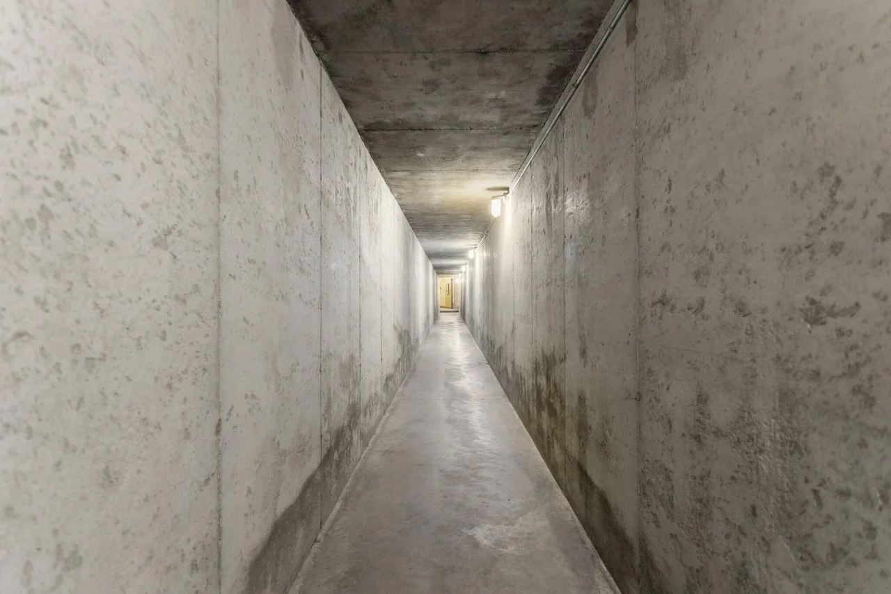 56.jpg