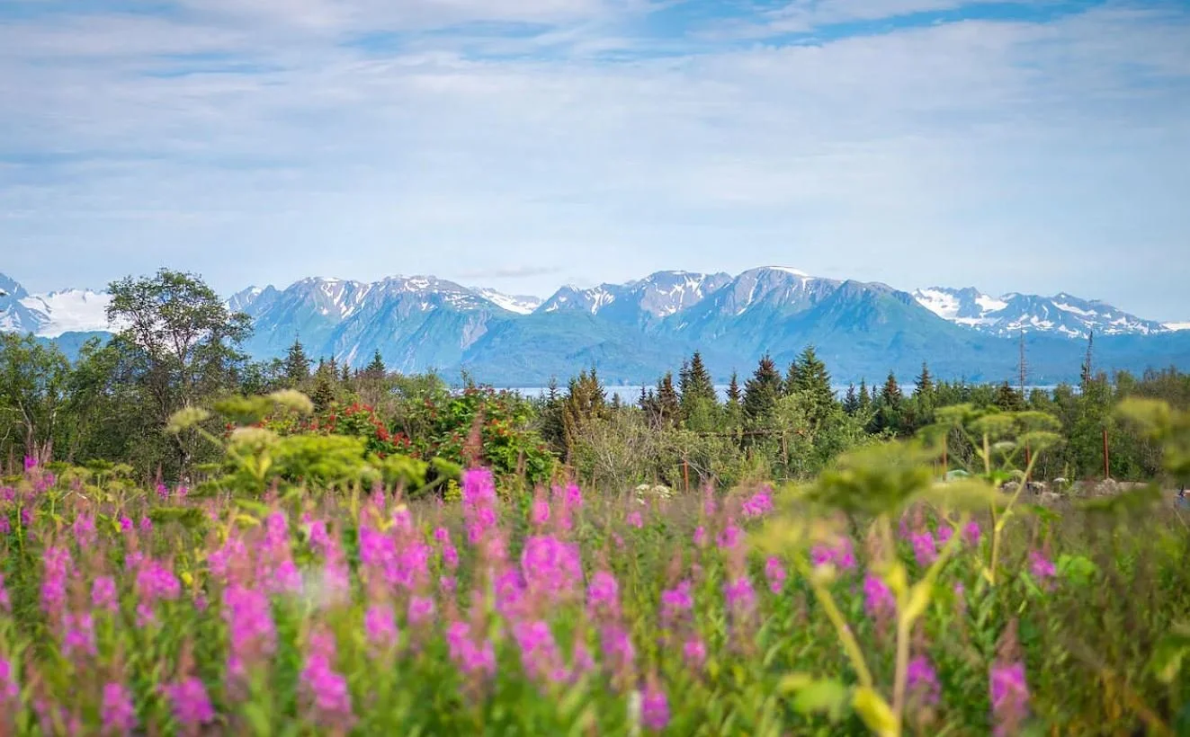 Over 2 Acres in Homer, AK - $87,500