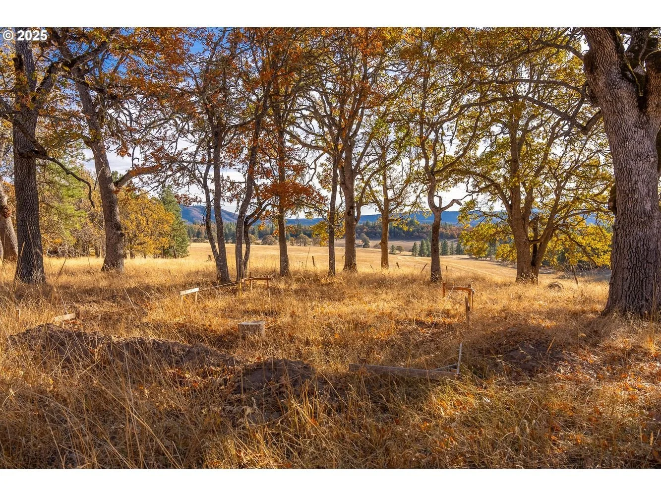 10 Acres in Lyle, WA - $229,000