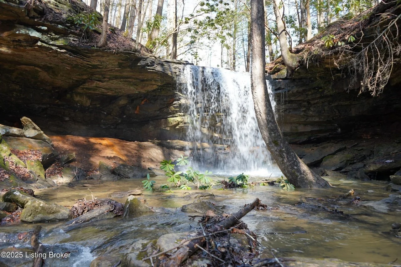 62 Acres in Williamsburg, KY - $450,000