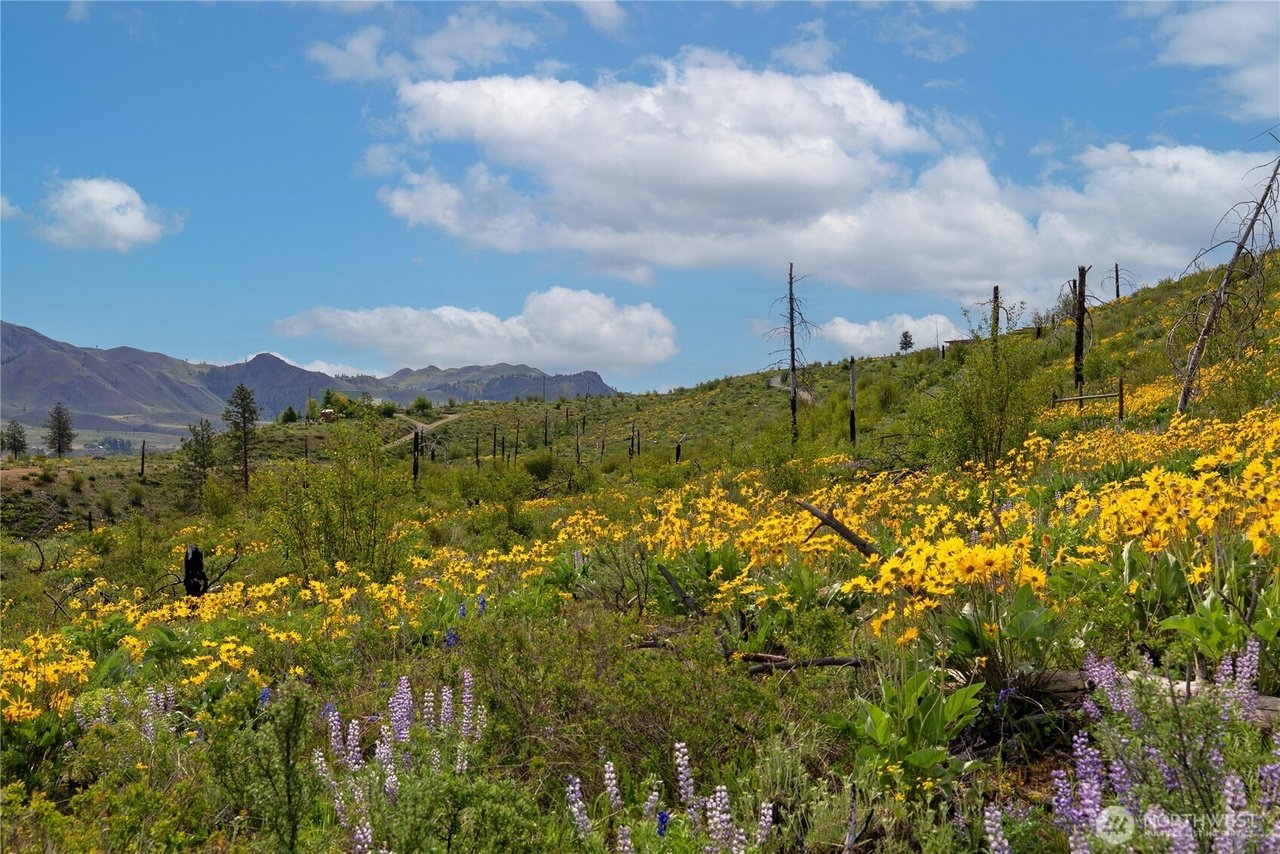 4.71 Acres in Twisp, WA - $180,000