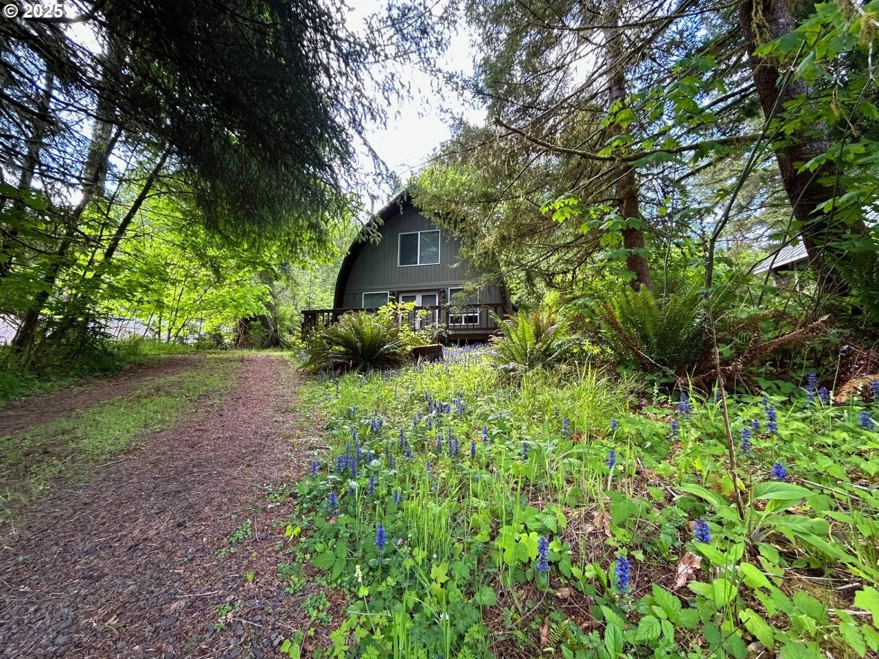 A Remodel in Birkenfeld, OR - $297,000