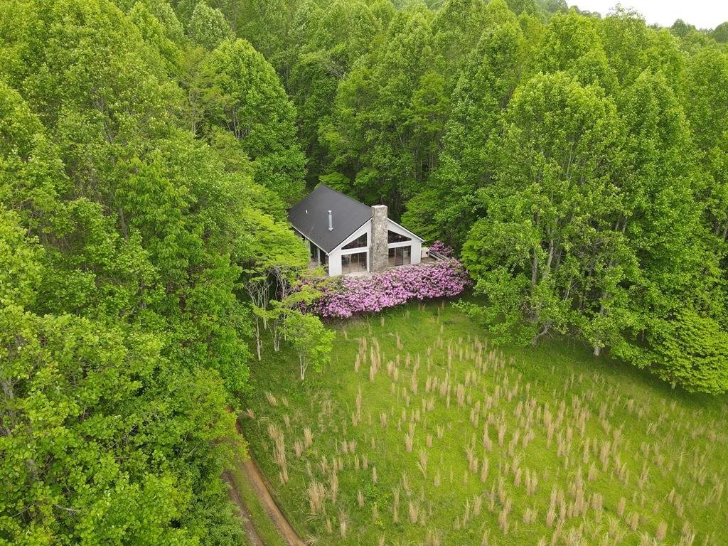 52 Acres in Ceres, VA - $295,000