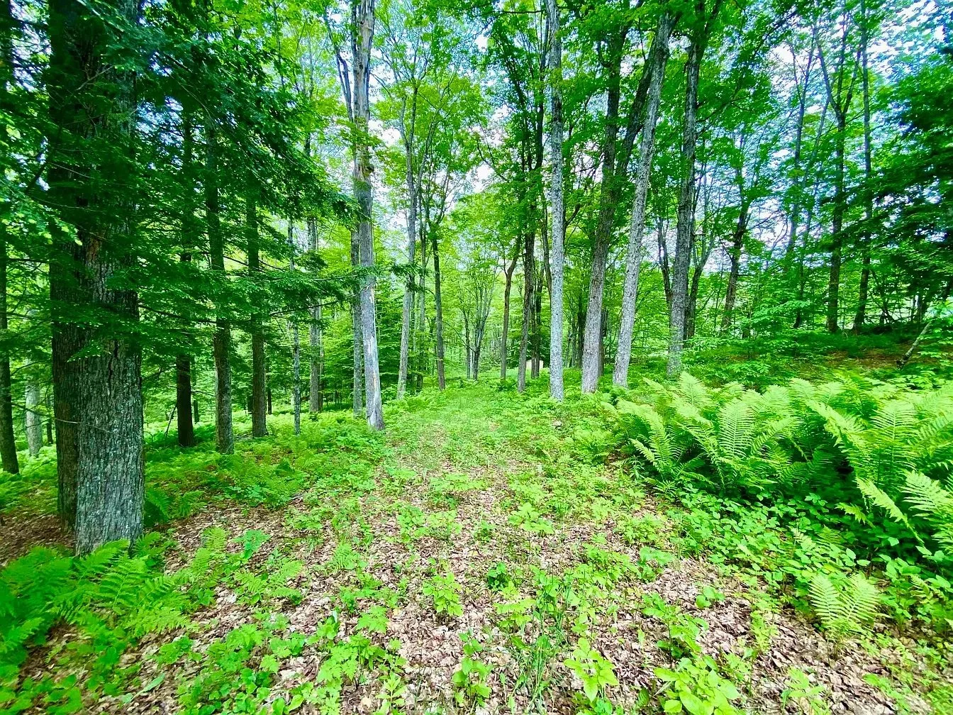 Over 10 Acres in Woodstock, VT - $215,000