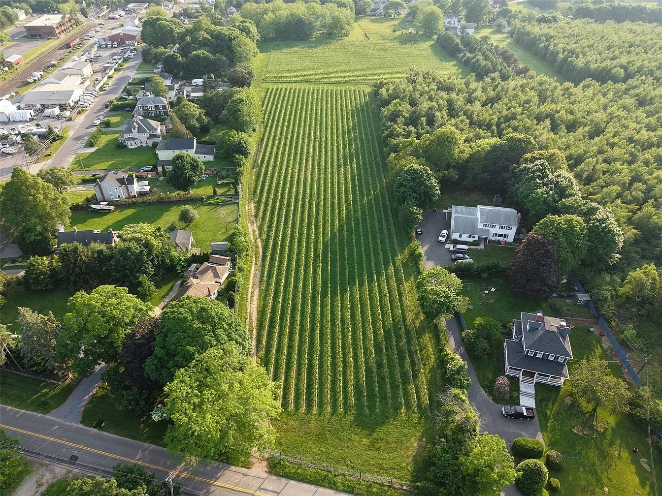 A 7 Acre Vineyard in Southold, NY - $699,000