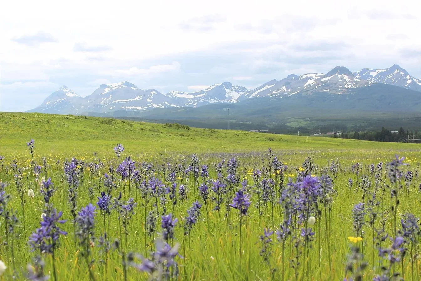 163 Acres in East Glacier Park, MT - $1,400,000