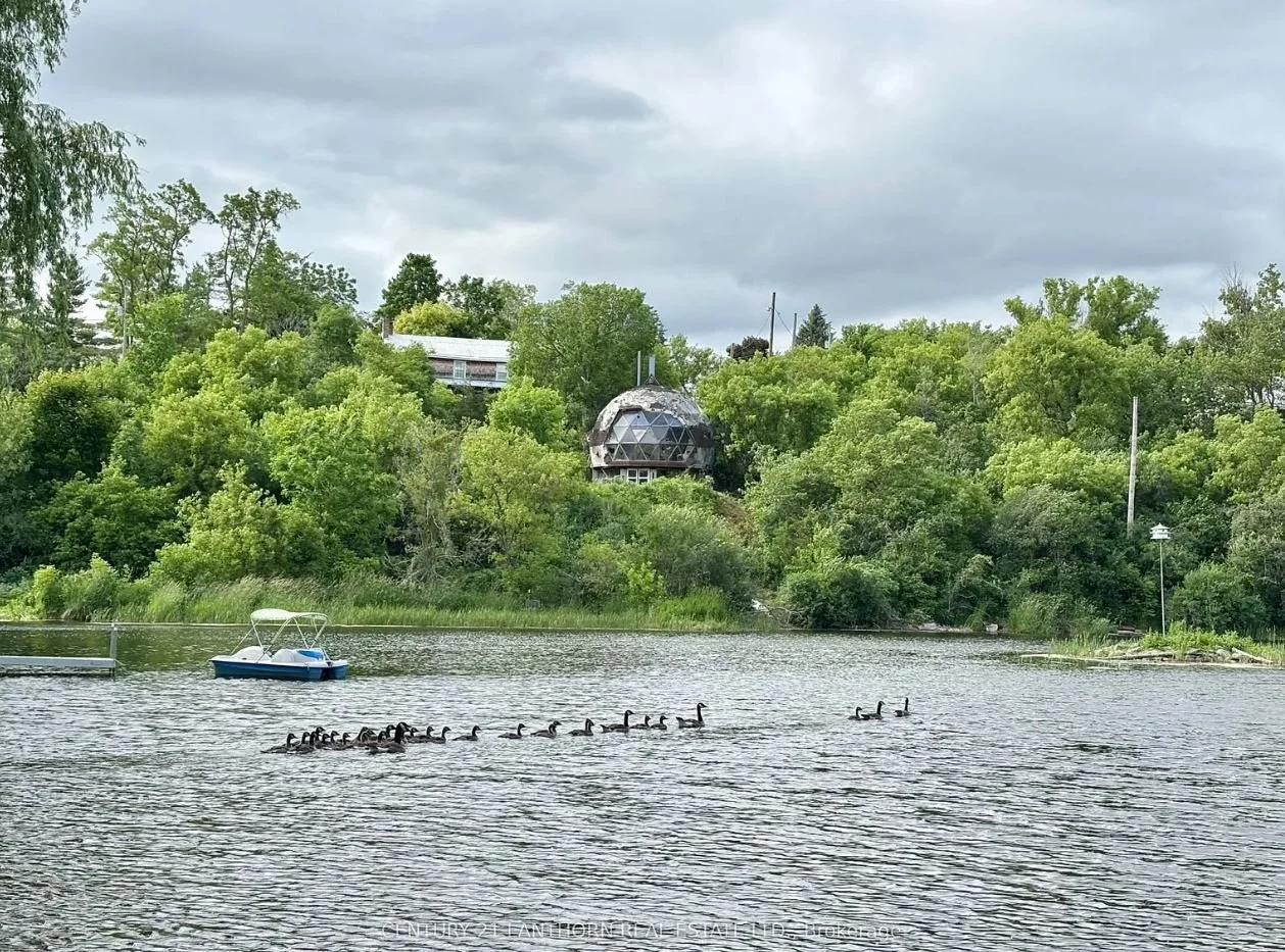 A Geodesic Dome in Tyendinaga, ON - C$249,900