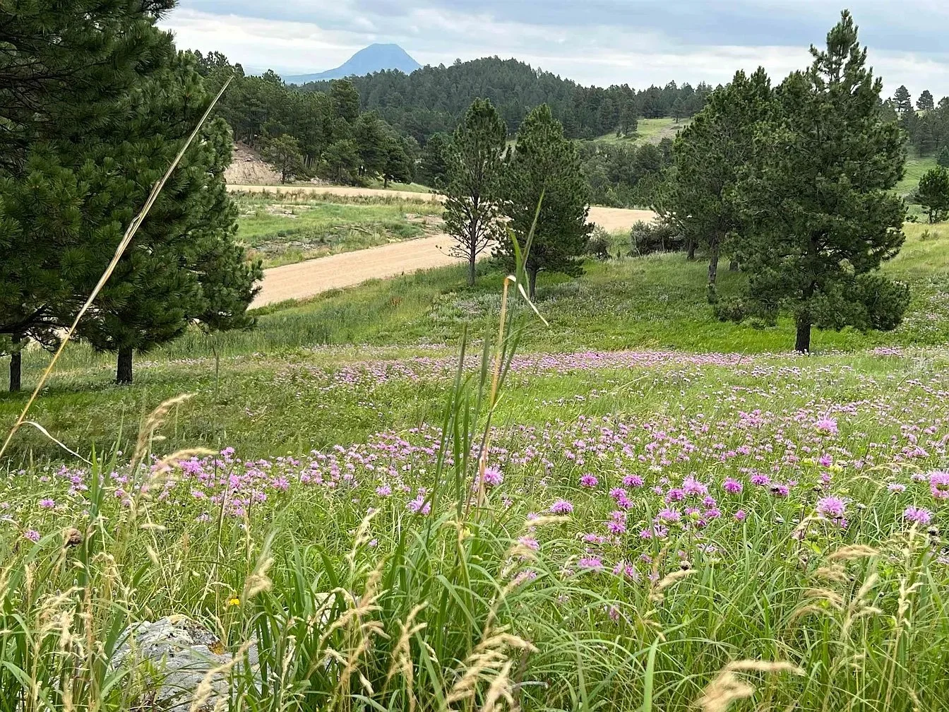 7.68 Acres in Whitewood, SD - $225,000