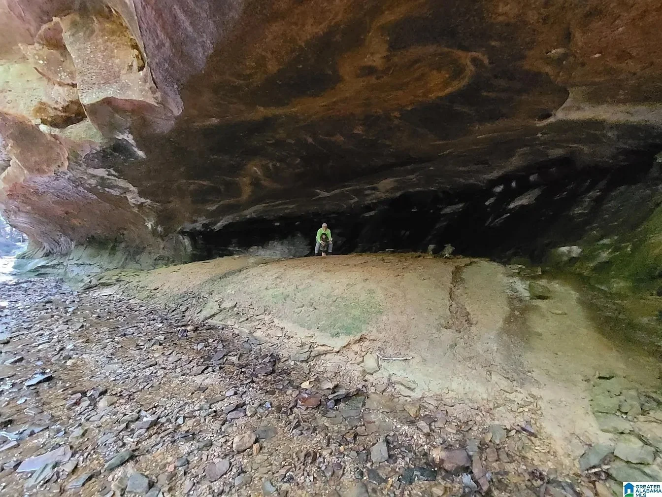 50 Acres in Double Springs, AL - $275,000