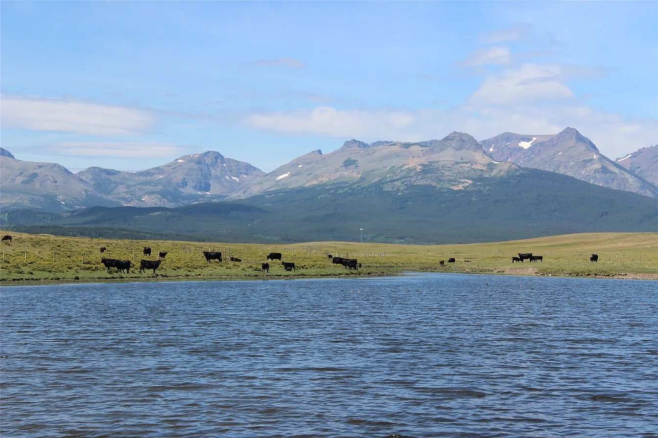 758 Acres in East Glacier Park, MT - $2,500,000