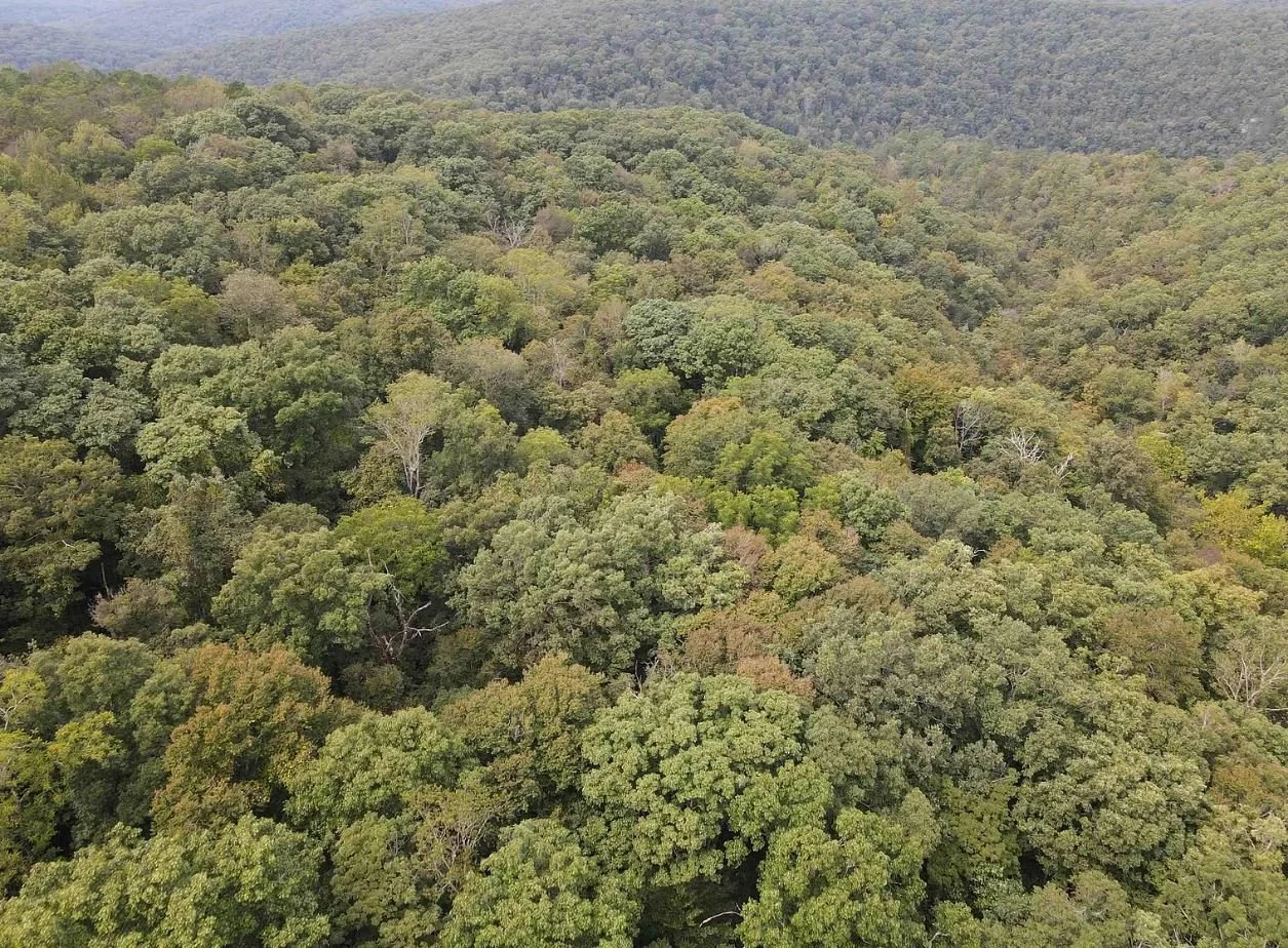 80 Acres in Deer, AR - $200,000