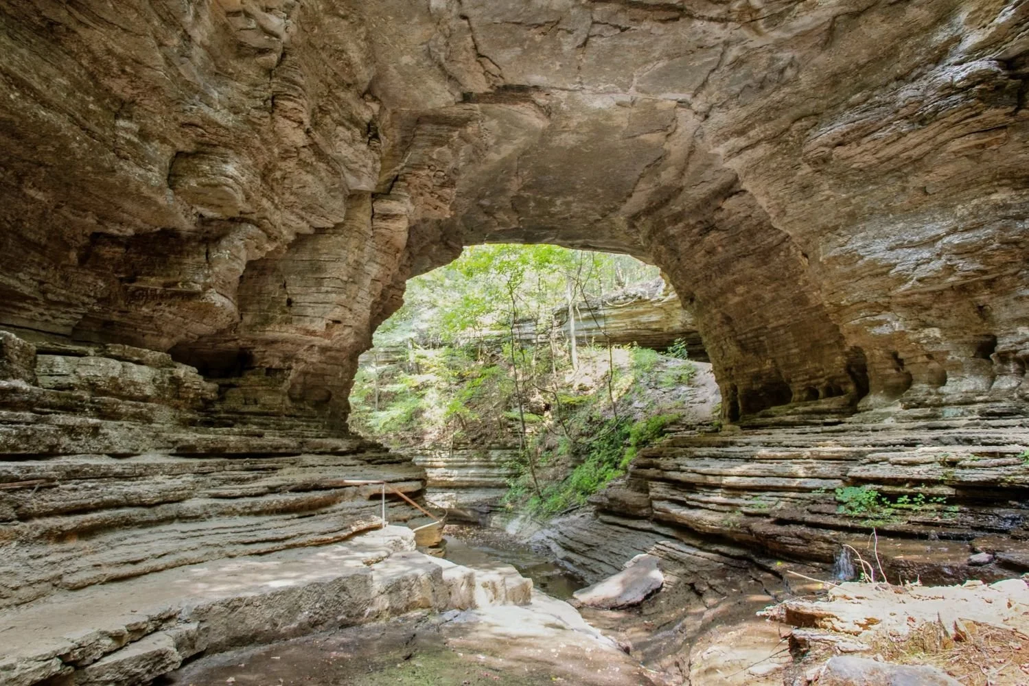 51 Acres in Waynesboro, TN - $4,100,000