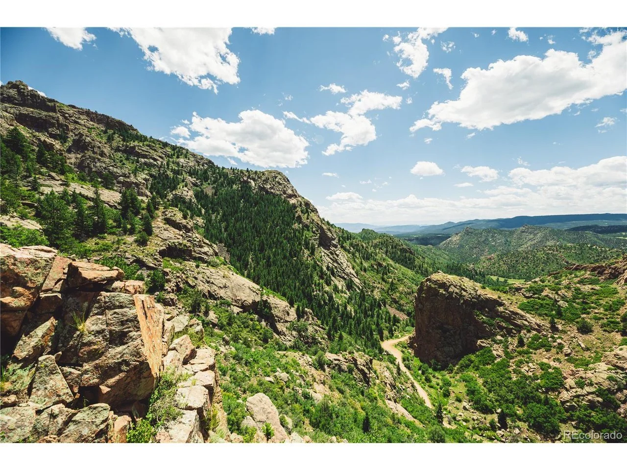 243 Acres in Florissant, CO - $589,000
