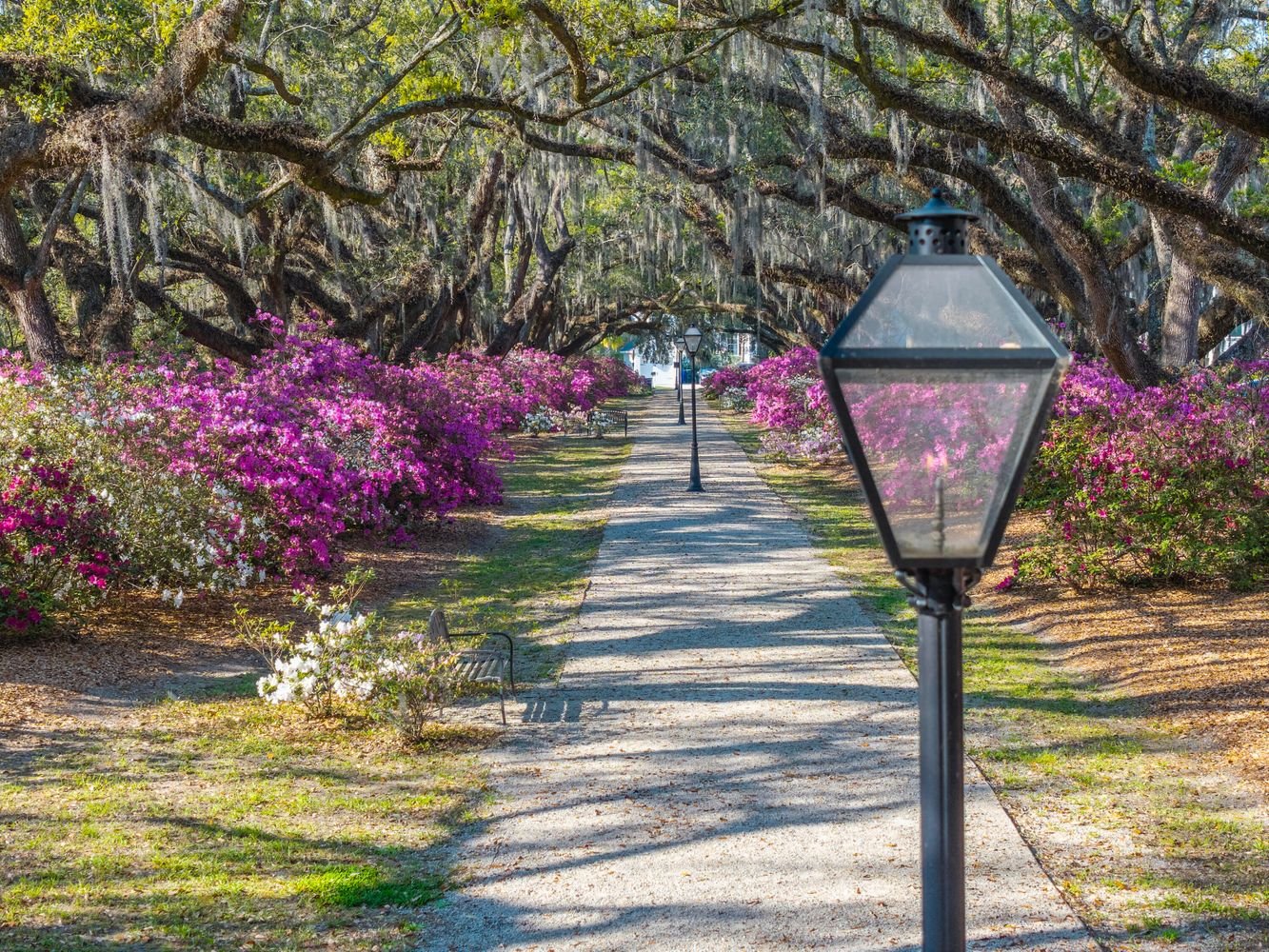Old Oaks &amp; Azaleas in Charleston, SC - $769,900