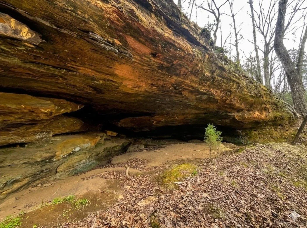 8.8 Acres in Ravenna, KY - $50,000