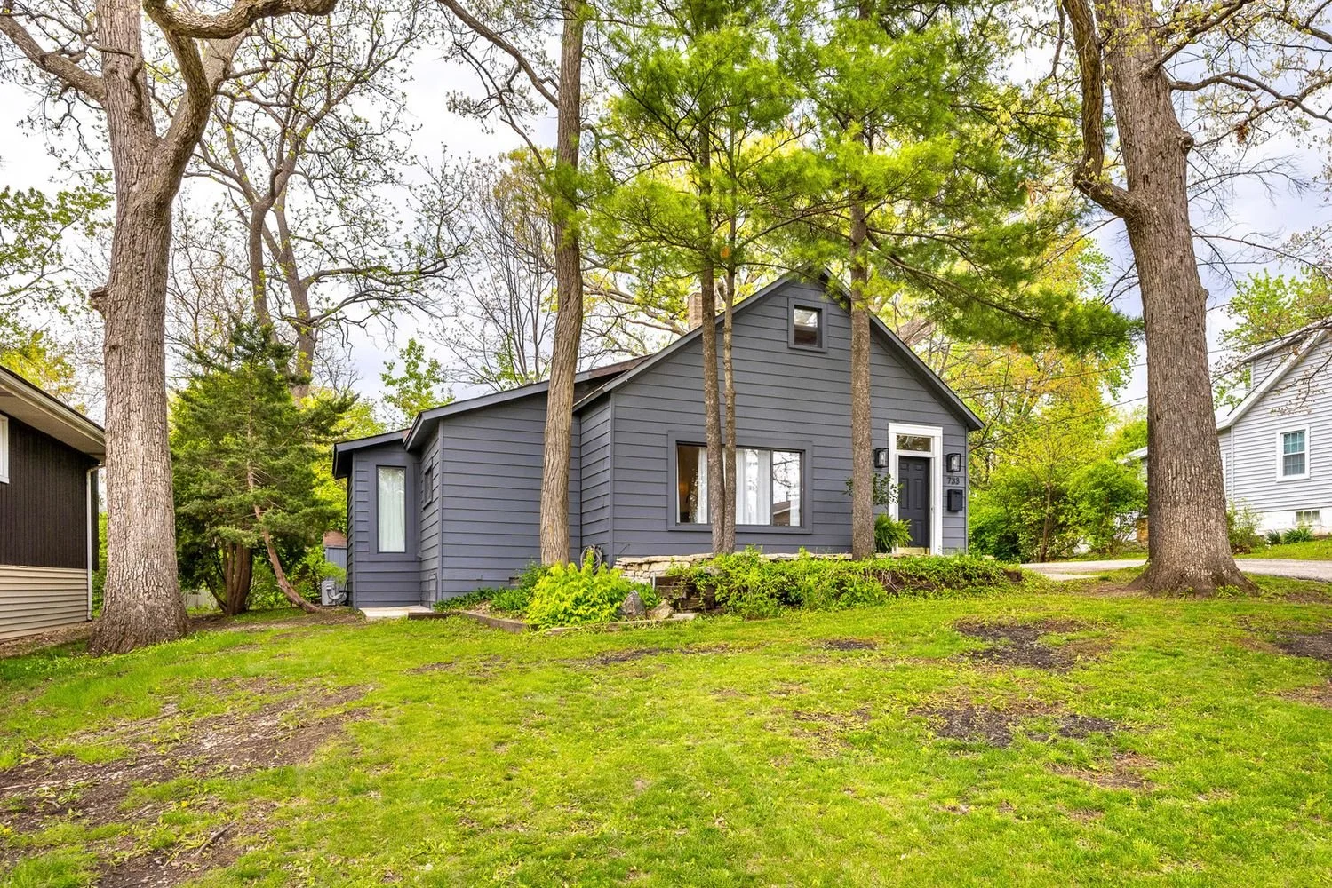 Minimalist in Lemont, IL - $329,900