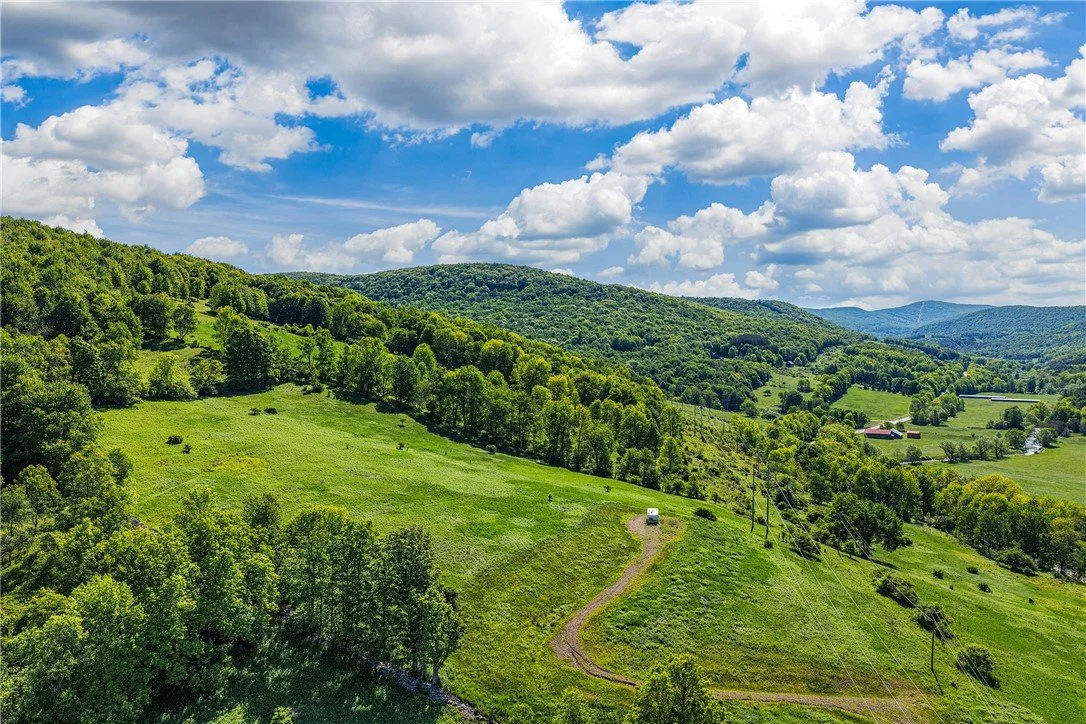 133 Acres in Delhi, NY - $386,000