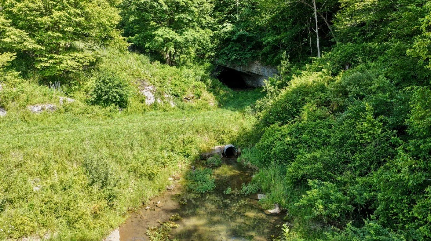 38.jpg