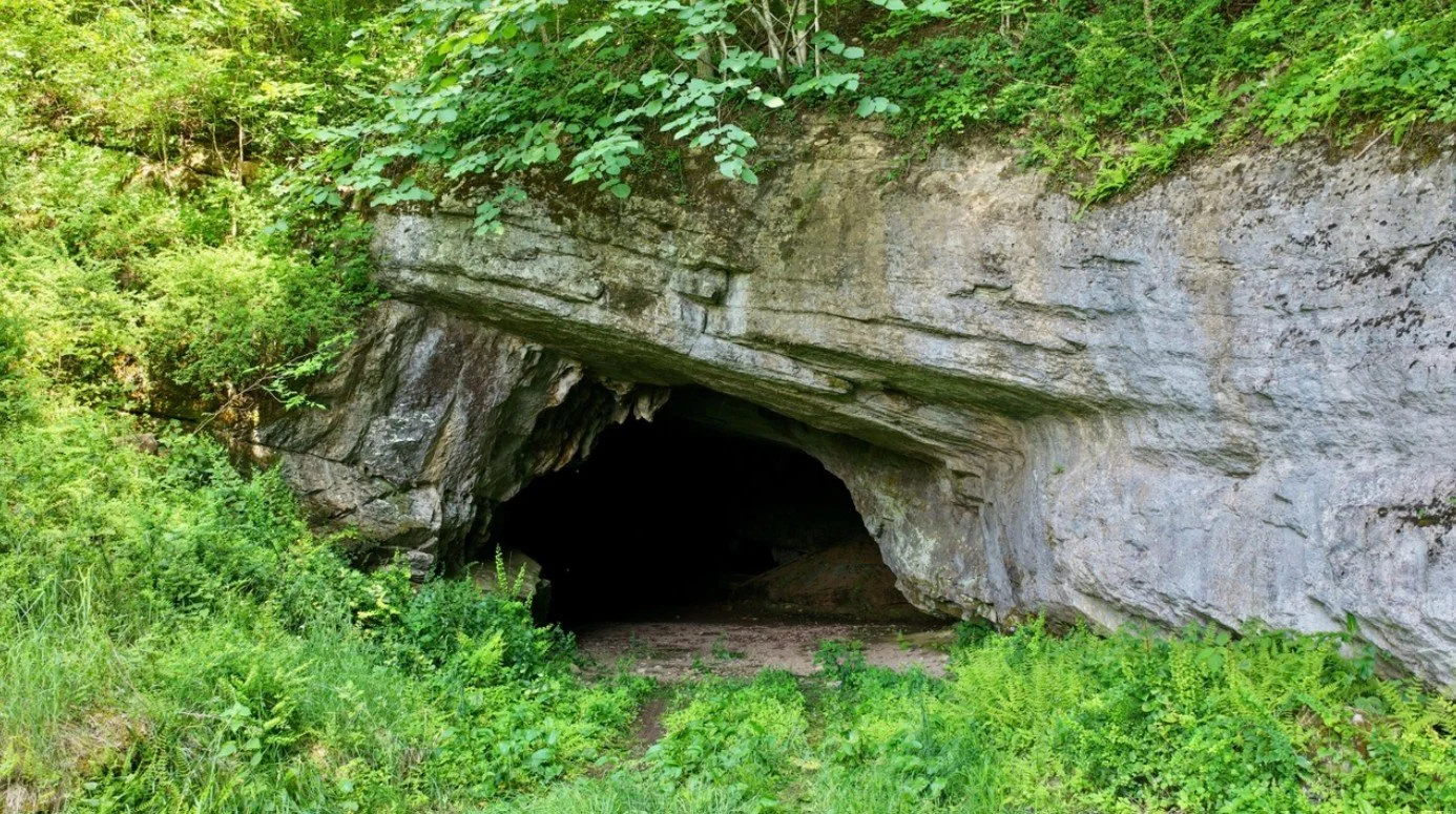 87 Acres in Gap Mills, WV - $395,000