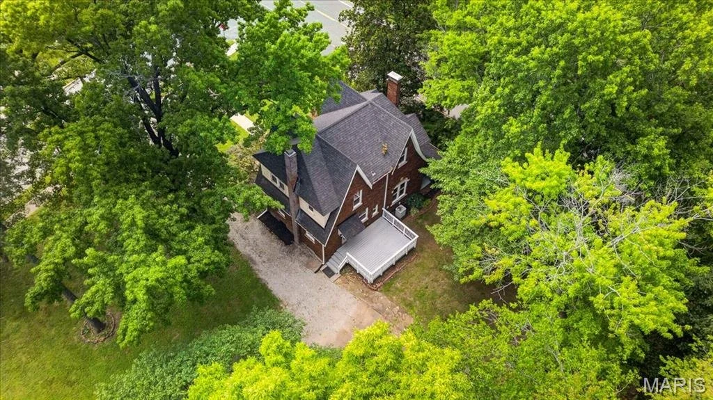 39.jpg