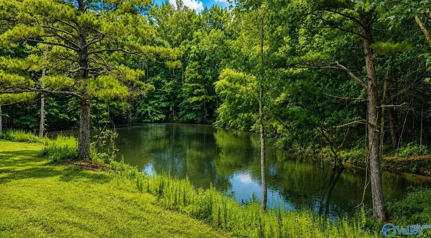 58.5 Acres in Arab, AL - $625,000