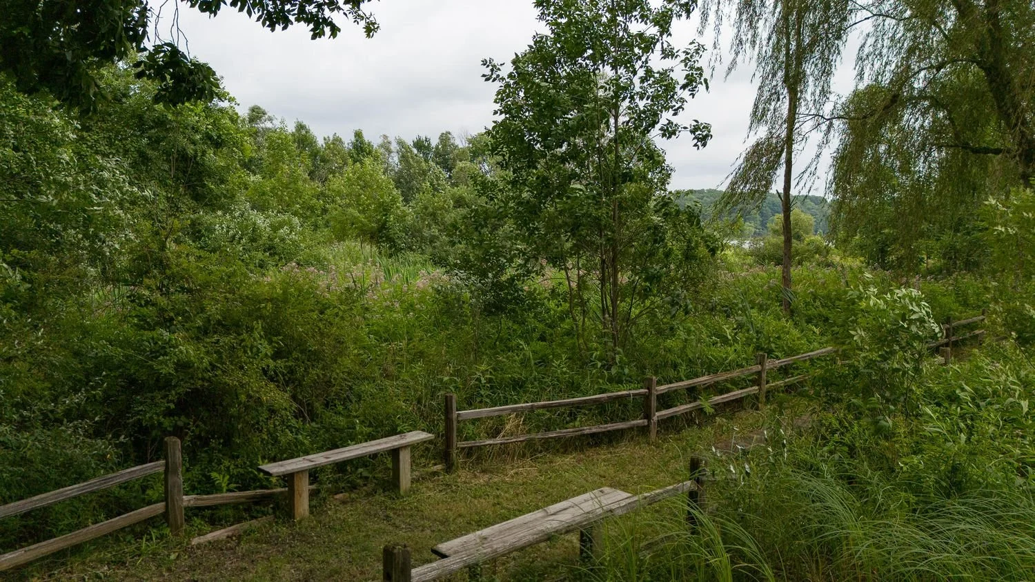 143.jpg