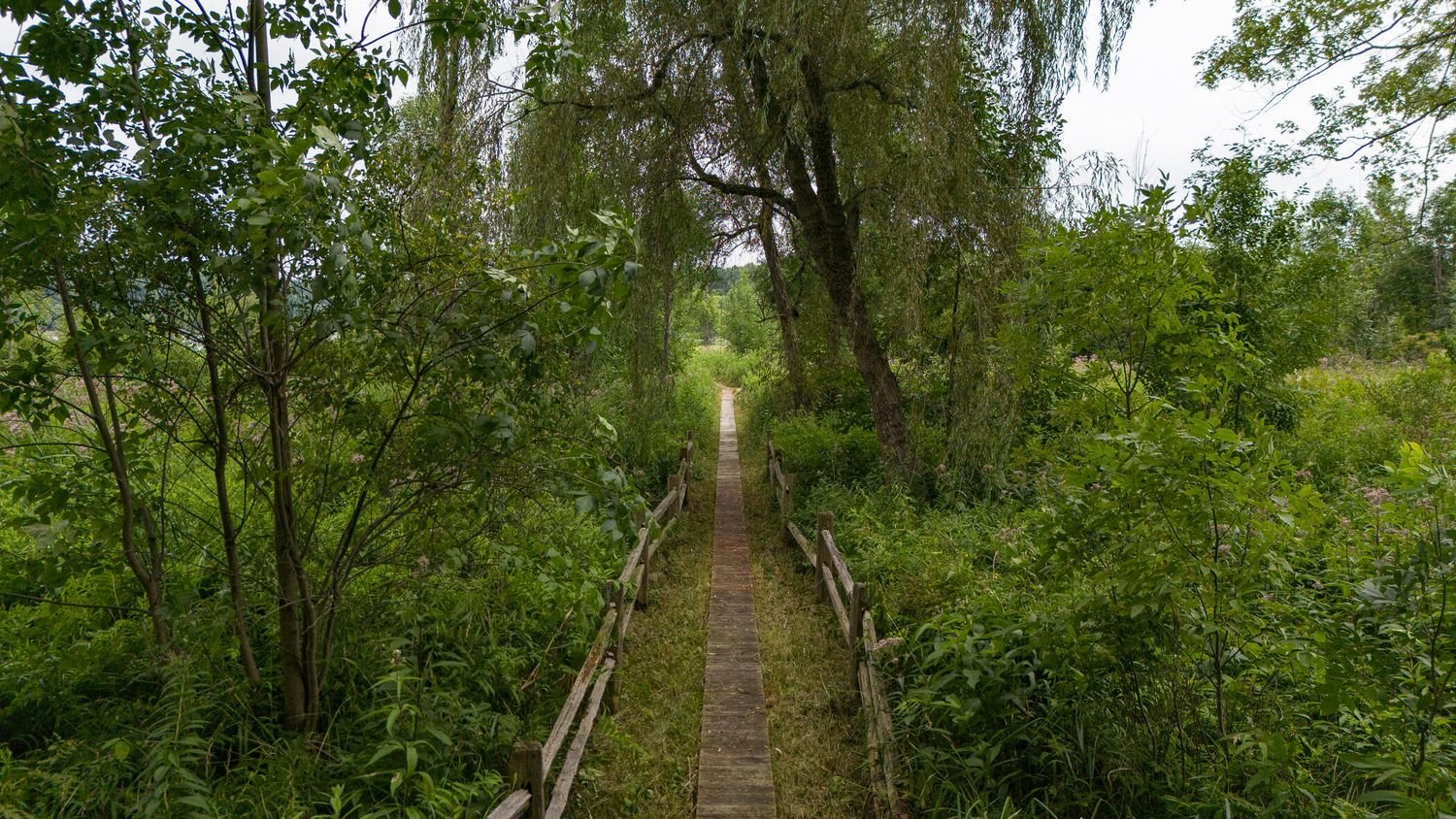 144.jpg