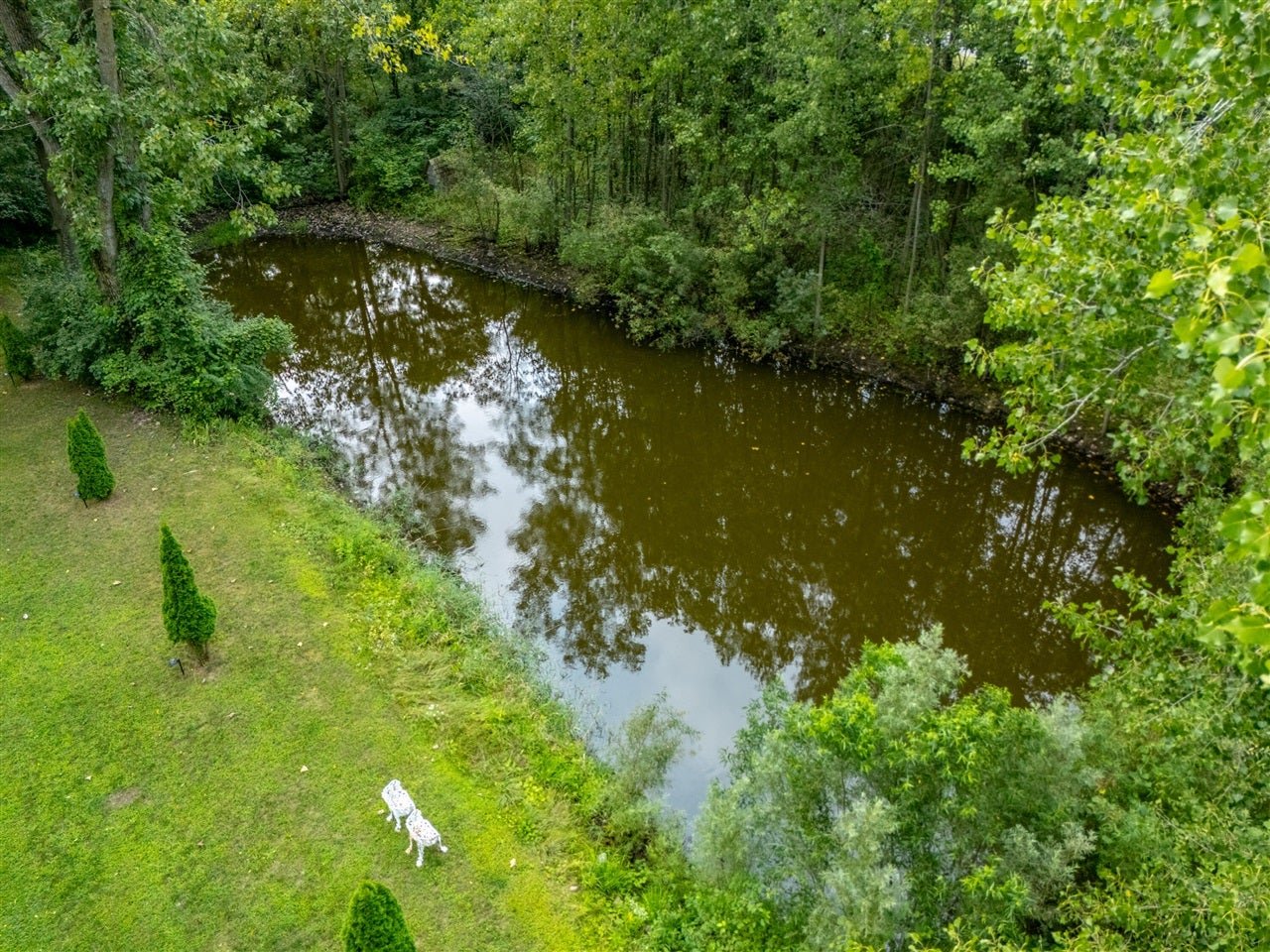 57.jpg