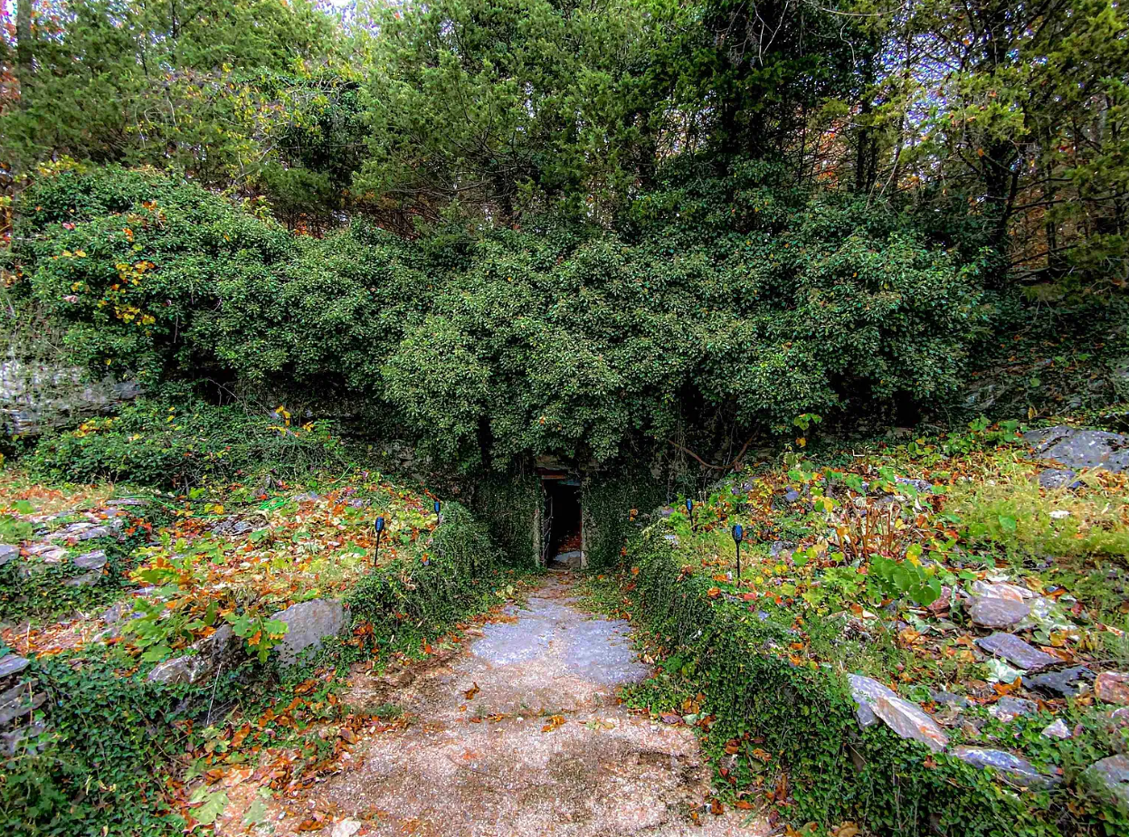 A Cave and Cabin on Over 9 Acres - $499,000