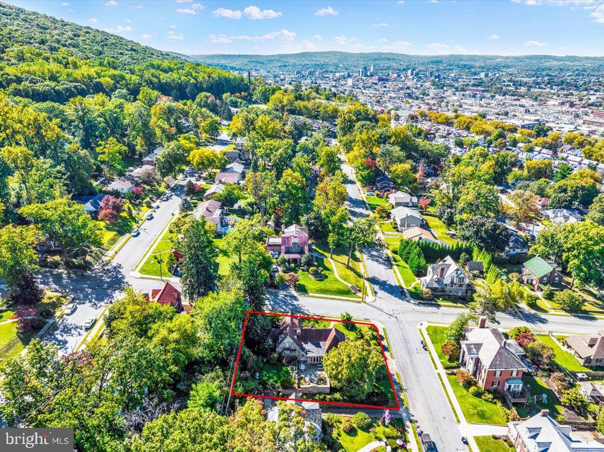 39.jpg