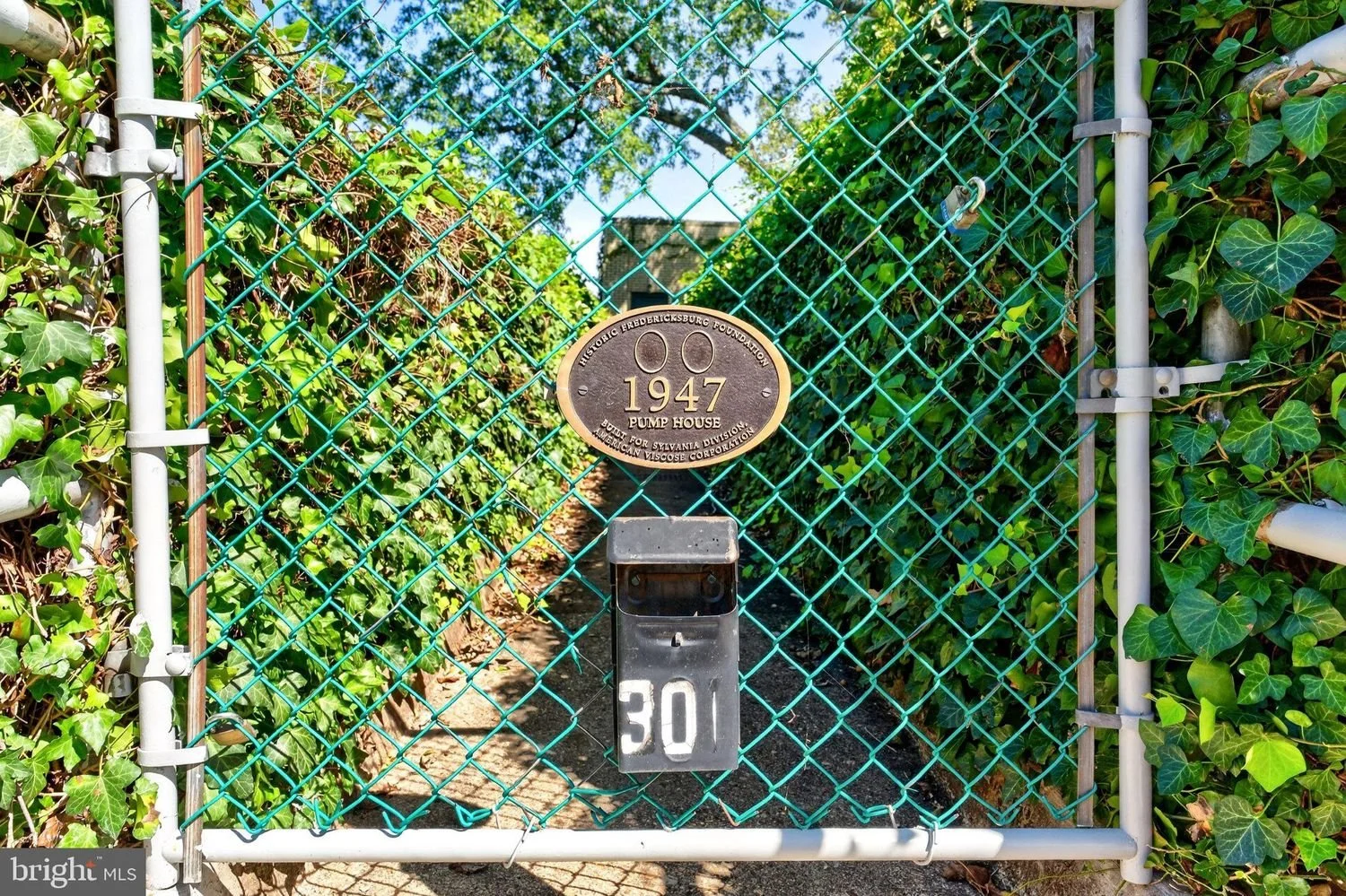 55.jpg