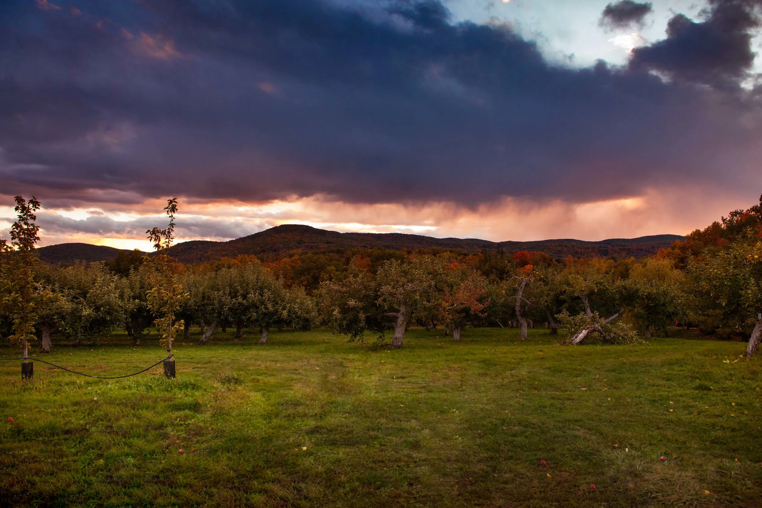 sarahgeiger_landscape_cate_ryan-0728.jpg