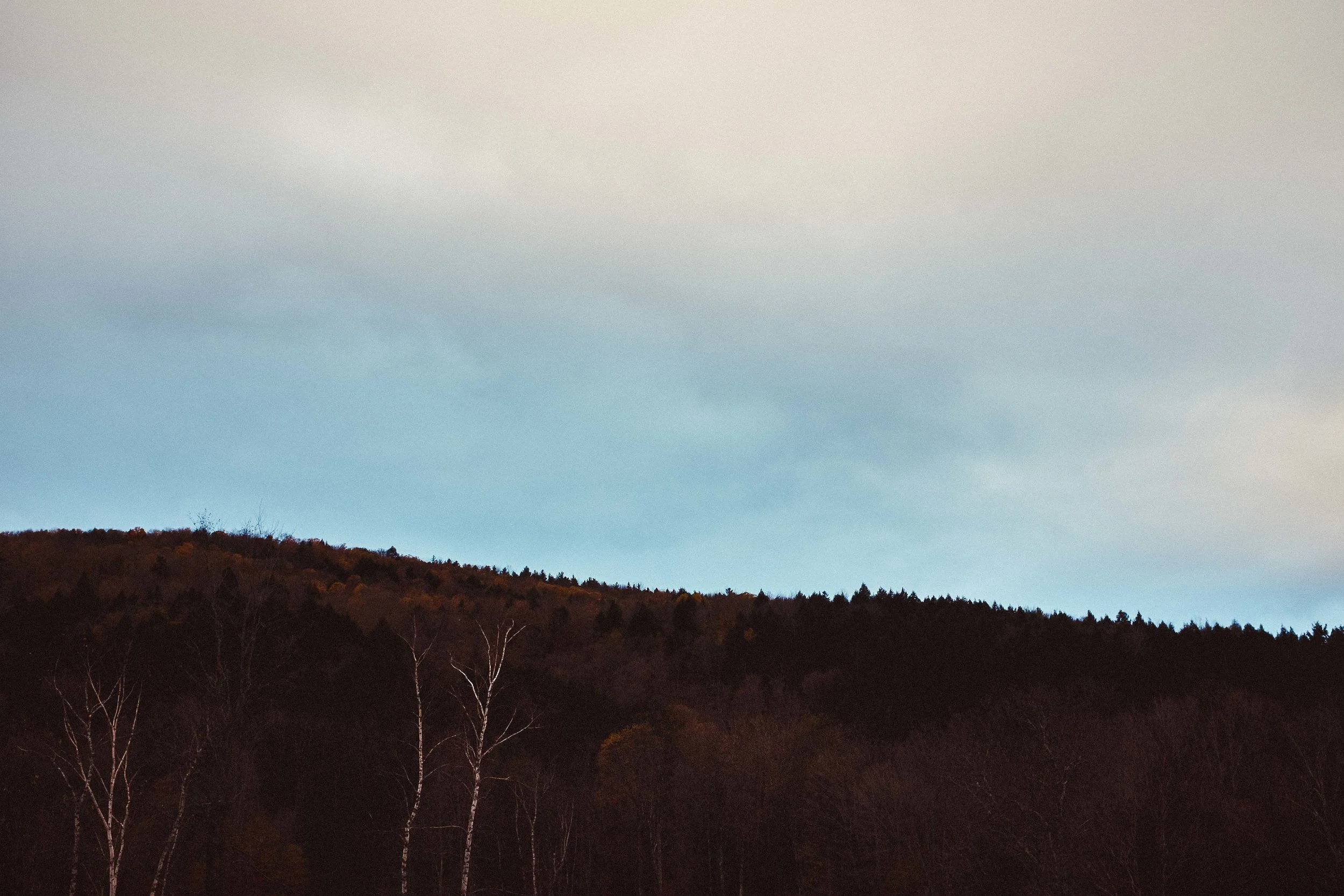 sarahgeiger_nature__DSF1059.jpg