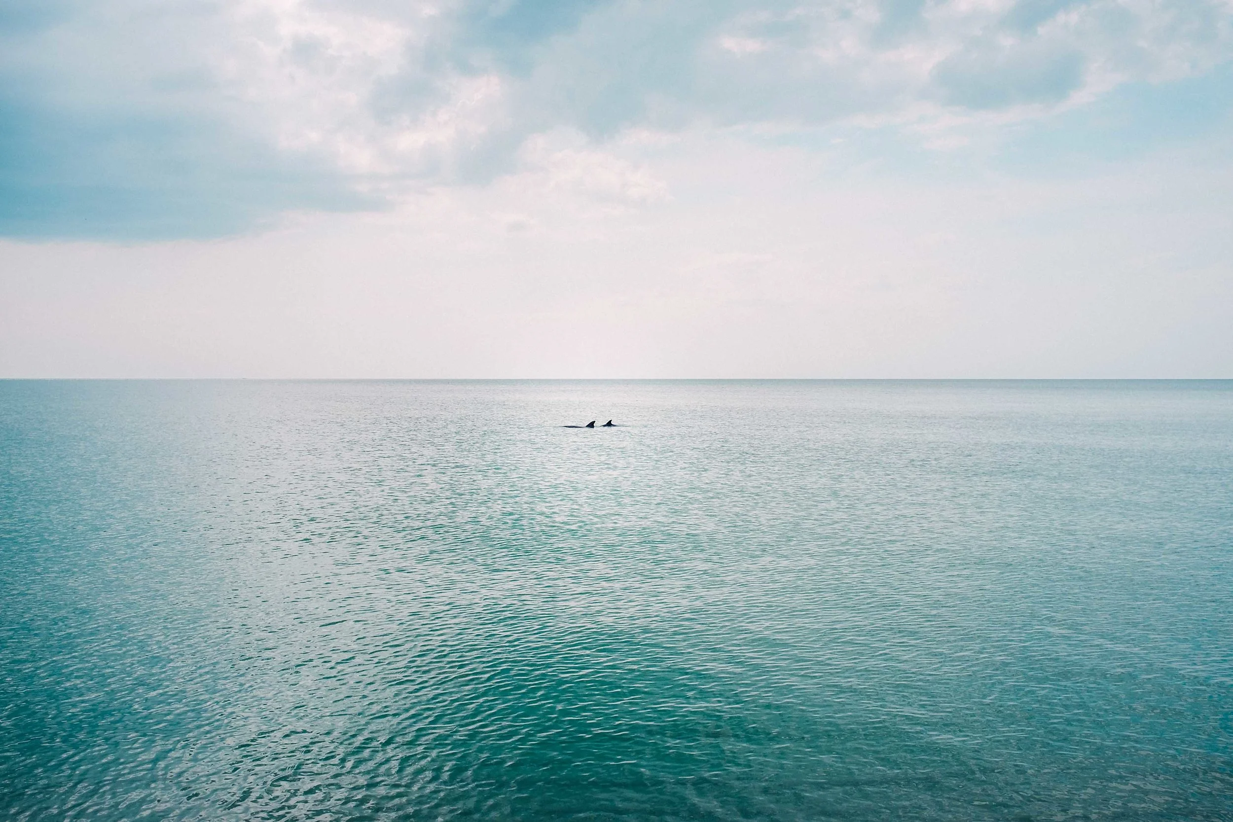sarahgeiger_ocean_landscape_007.jpg