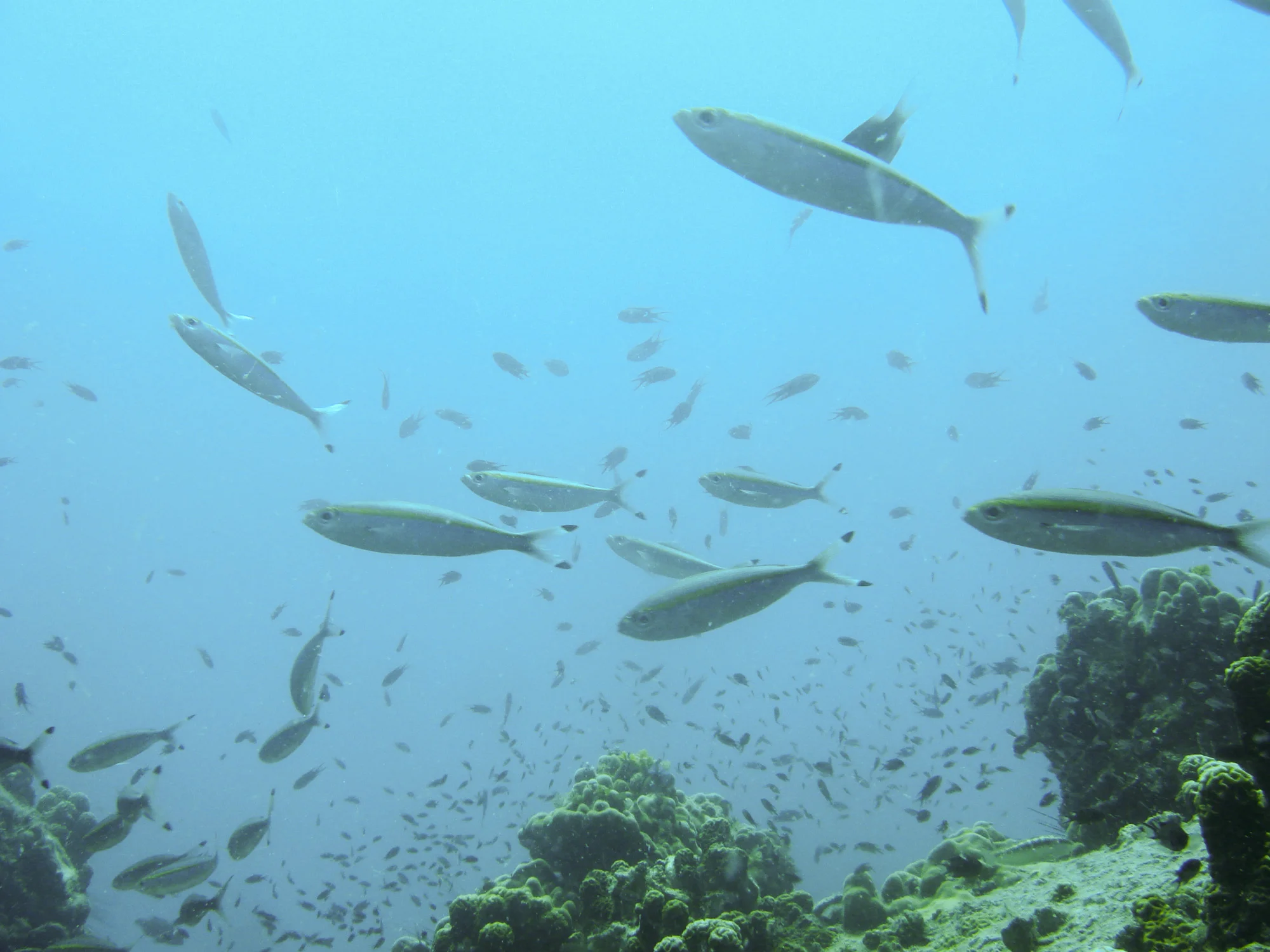 sarahgeiger_sea_ocean007.jpg