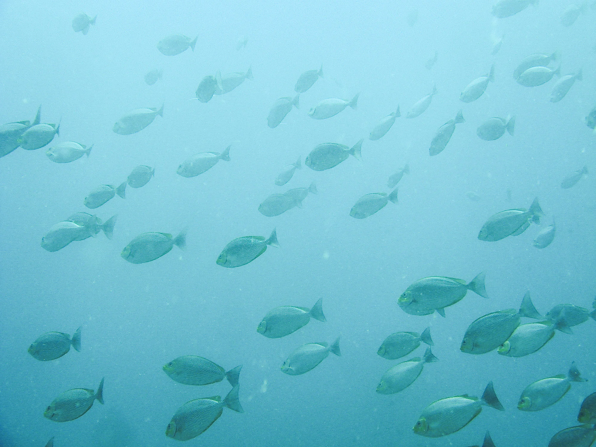 sarahgeiger_sea_ocean008.jpg