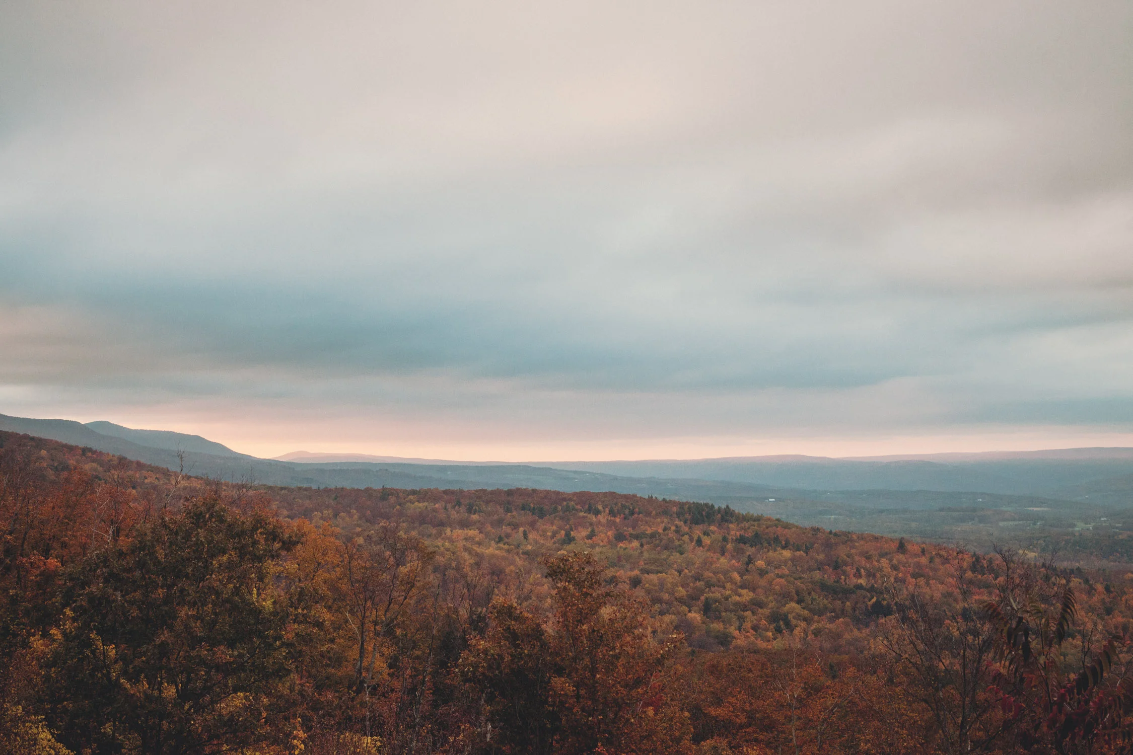 sarahgeiger_landscape_land005.jpg