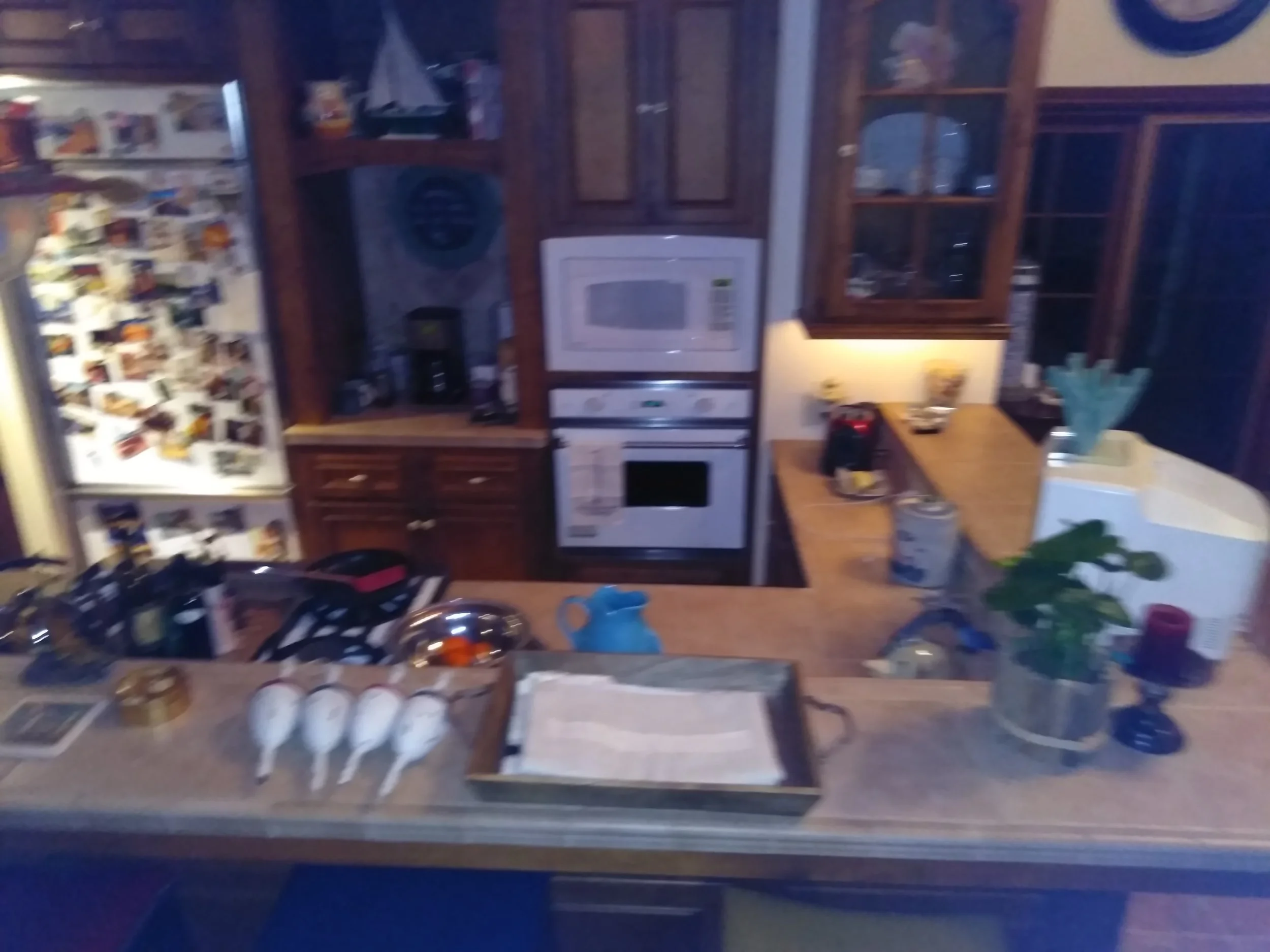 Fred's House 3.jpg