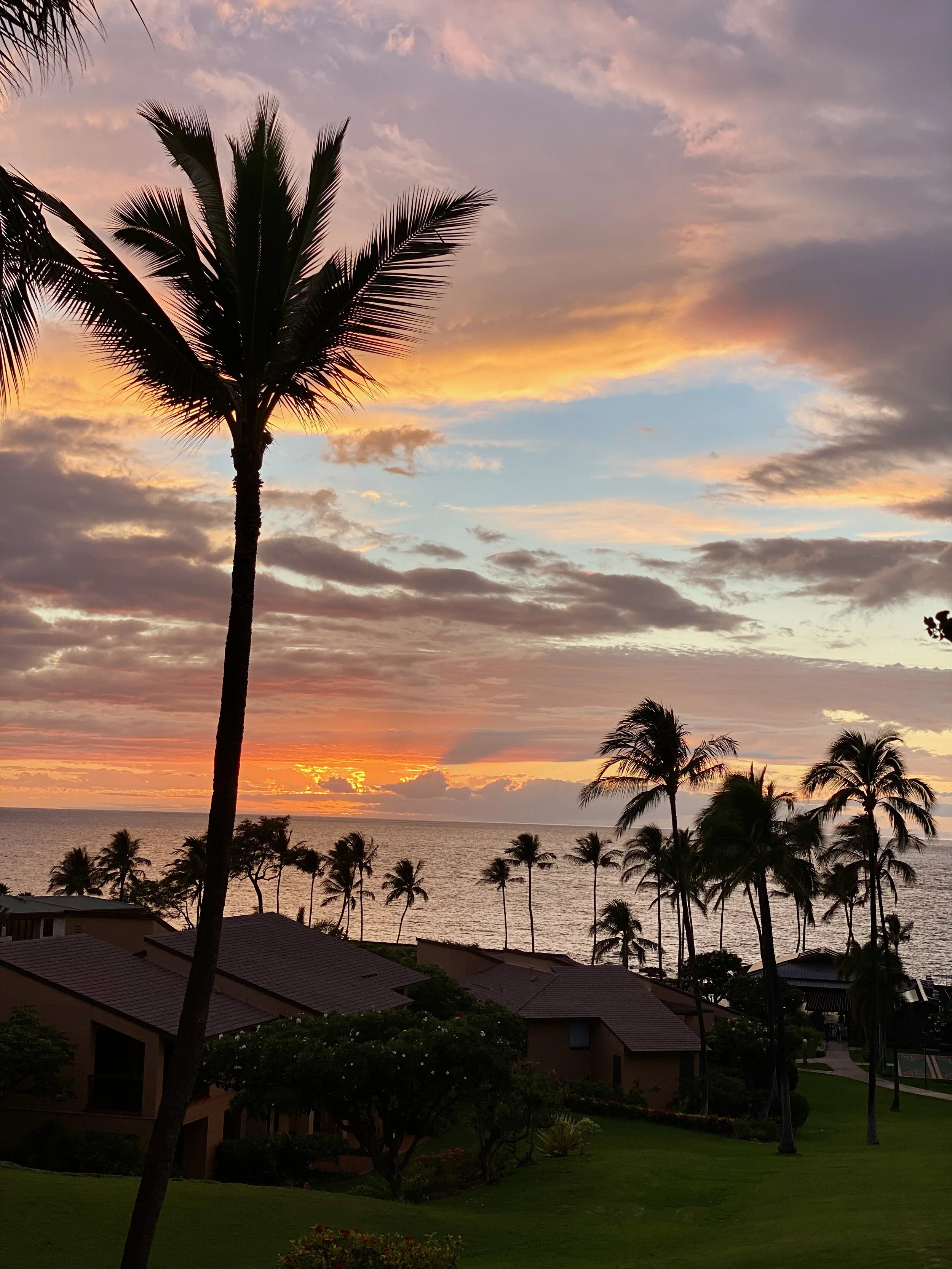 maui sunset.jpeg