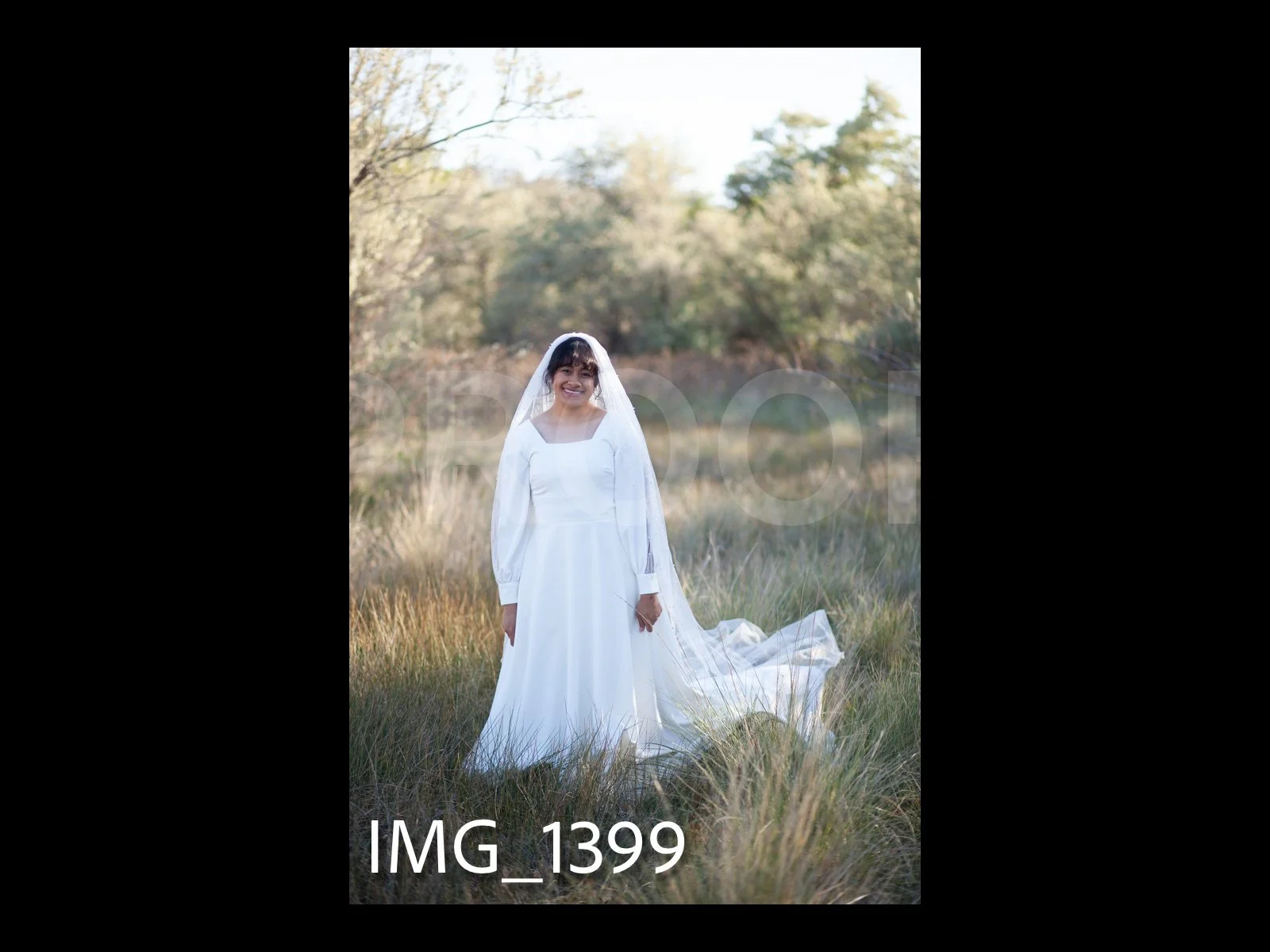 AloEngagementProofs-088.jpg