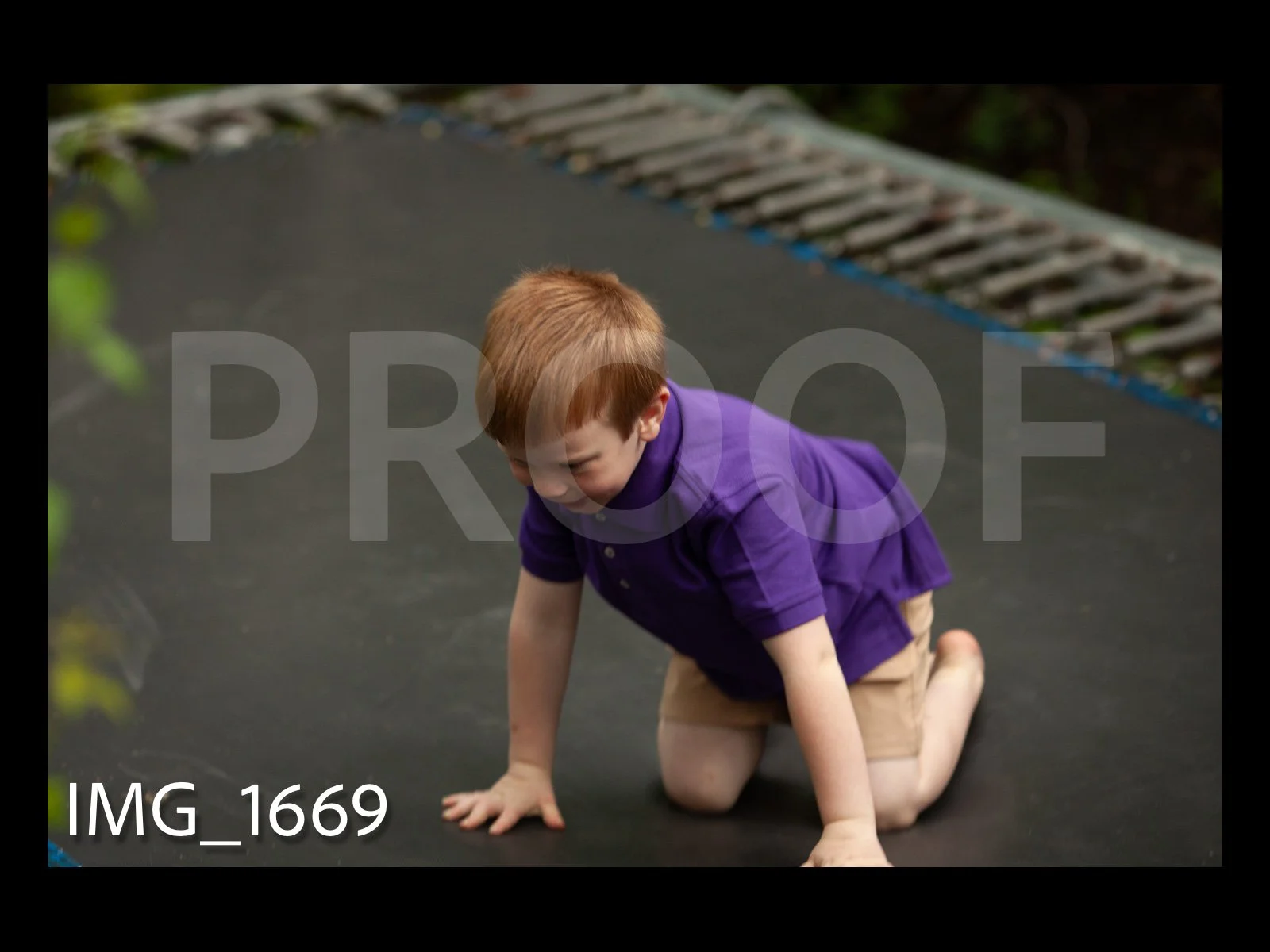 HarralProof-131.jpg